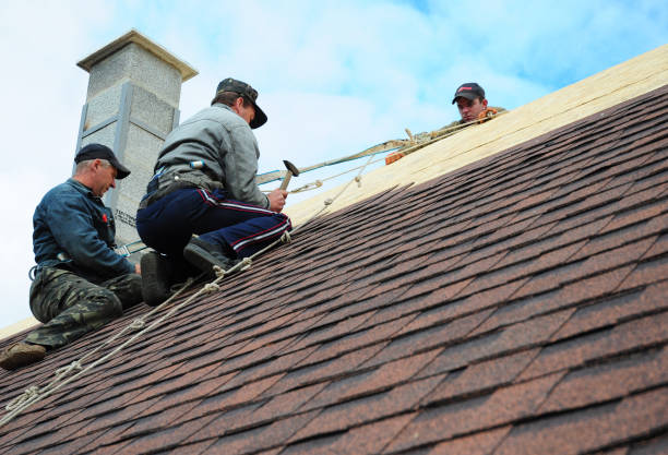 Best Shingle Roofing Installation  in Drumright, OK
